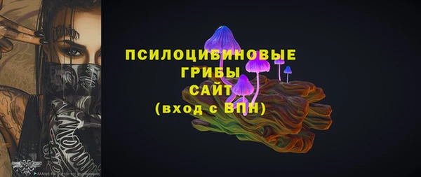 прущие крисы Белокуриха