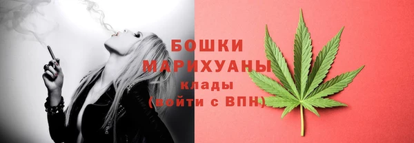 прущие крисы Белокуриха