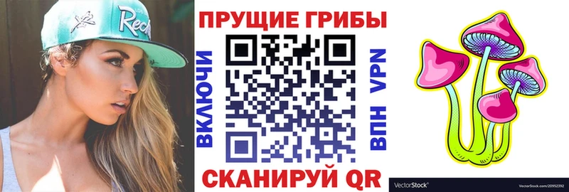 где продают   Чехов  Псилоцибиновые грибы MAGIC MUSHROOMS 